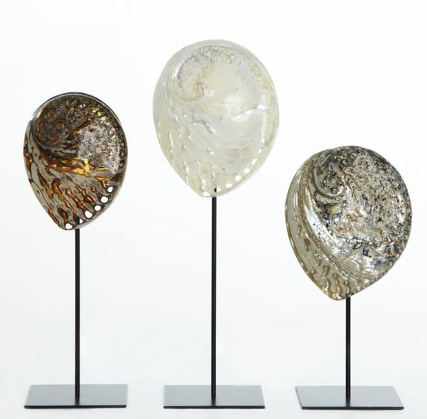 Abalone Shell on Stand